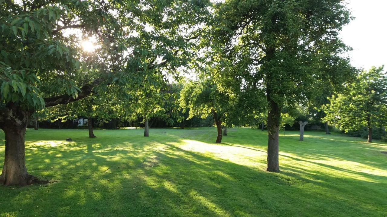 Ferienwohnungen "Weitblick" Und "Schwalbennest" Lodmannshagen Esterno foto