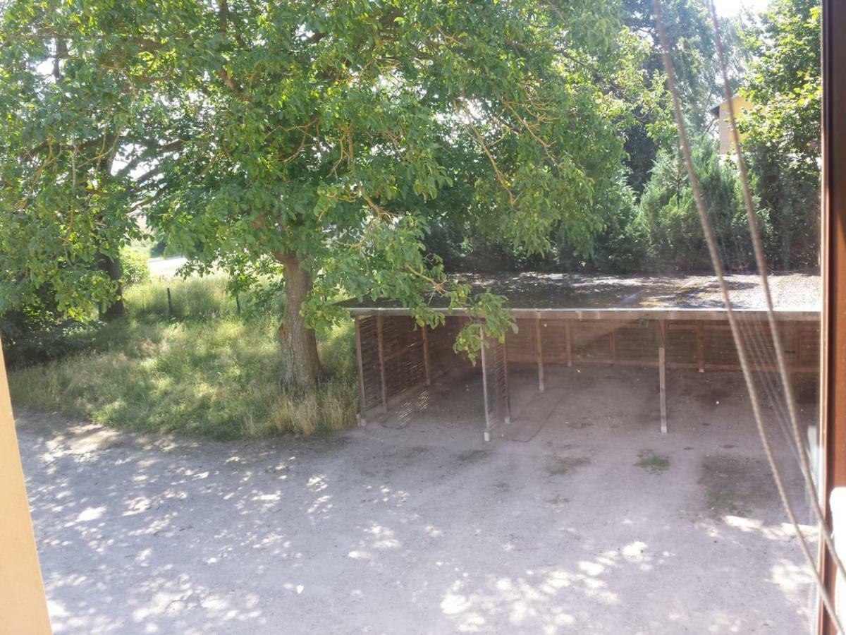 Ferienwohnungen "Weitblick" Und "Schwalbennest" Lodmannshagen Esterno foto