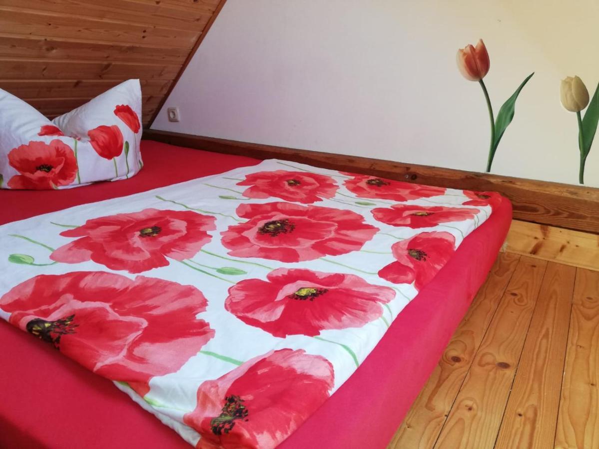 Ferienwohnungen "Weitblick" Und "Schwalbennest" Lodmannshagen Esterno foto
